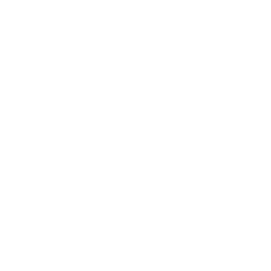 Digital Services include PPC, SEO, Marketing Automation