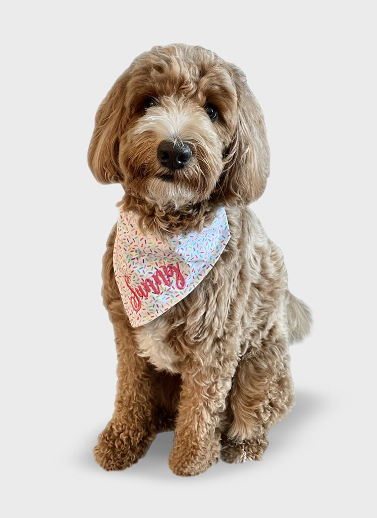 Boulton Creative assistant Sunny