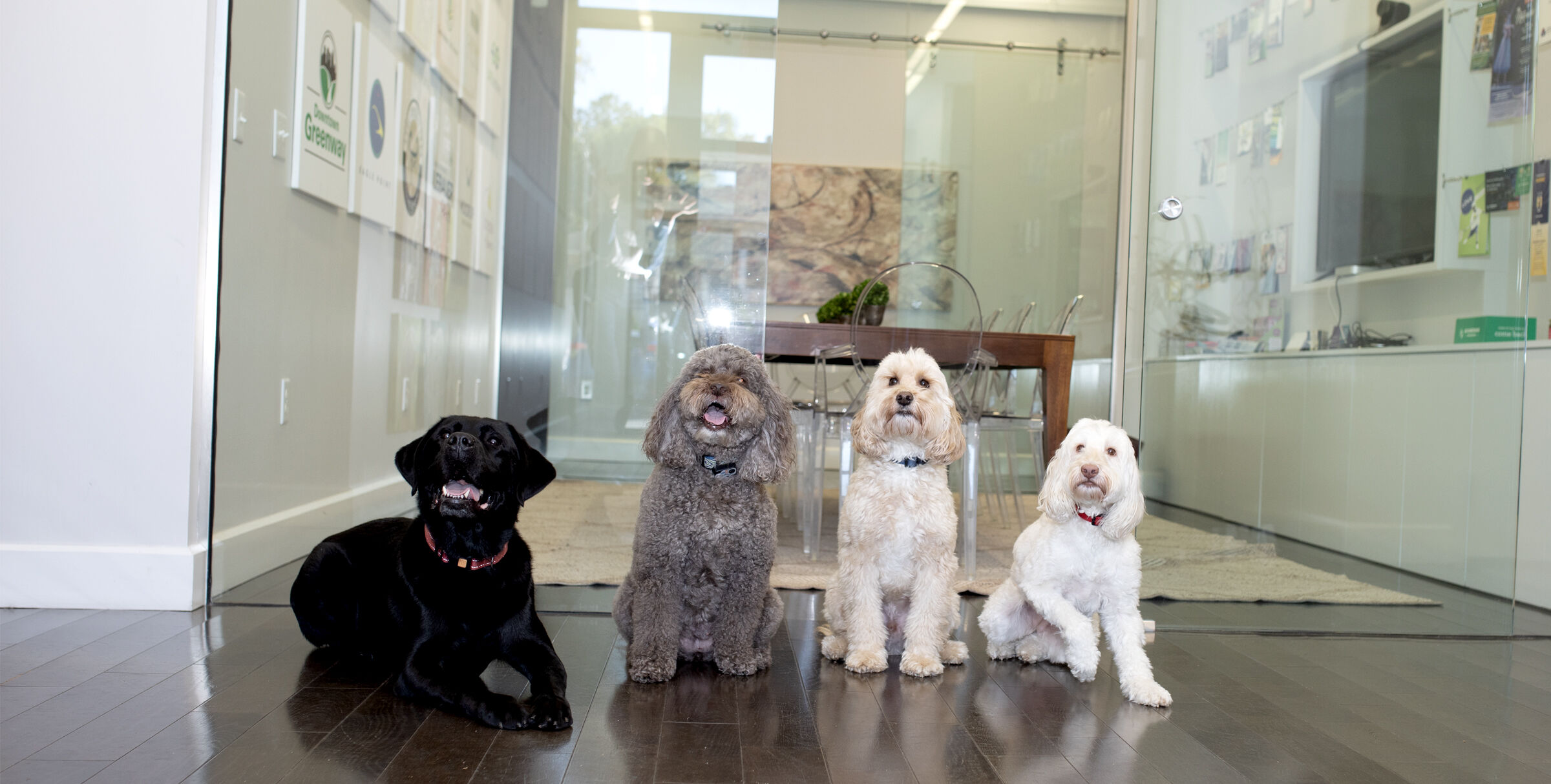 Boulton Creative support staff posing for the camera