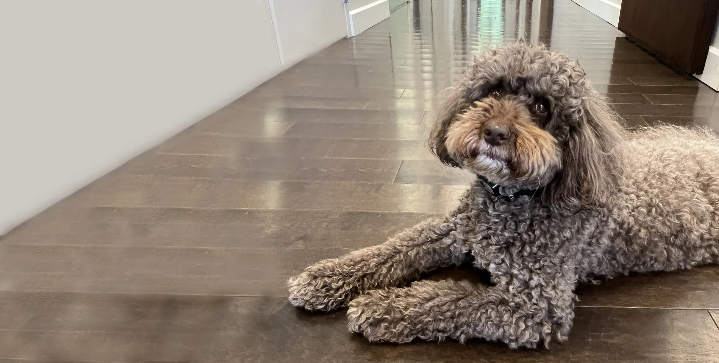 Boulton Creative assistant Mamie posing in the office hallway